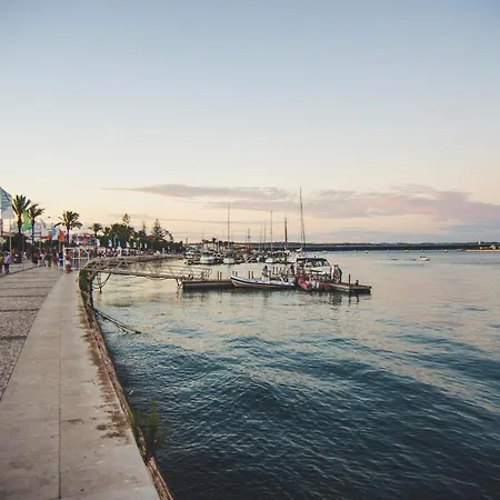 Blue Sardine بيت شباب